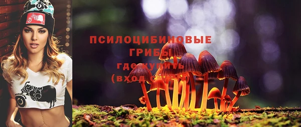 PSILOCYBIN Абаза